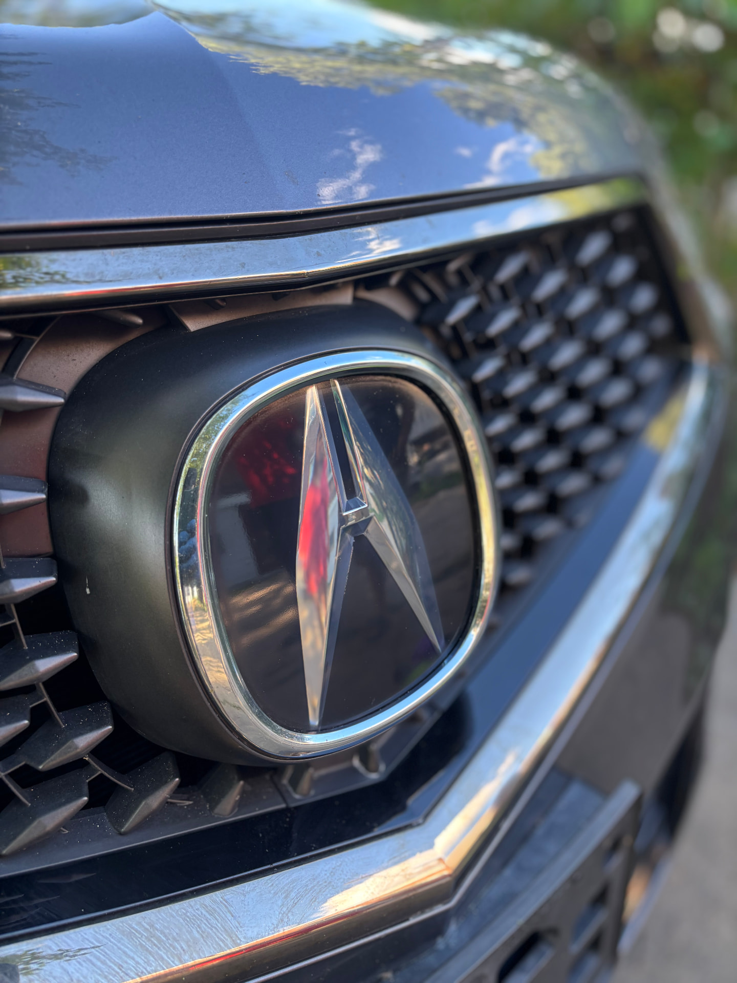 Grille Emblem Refinish — after restoration
