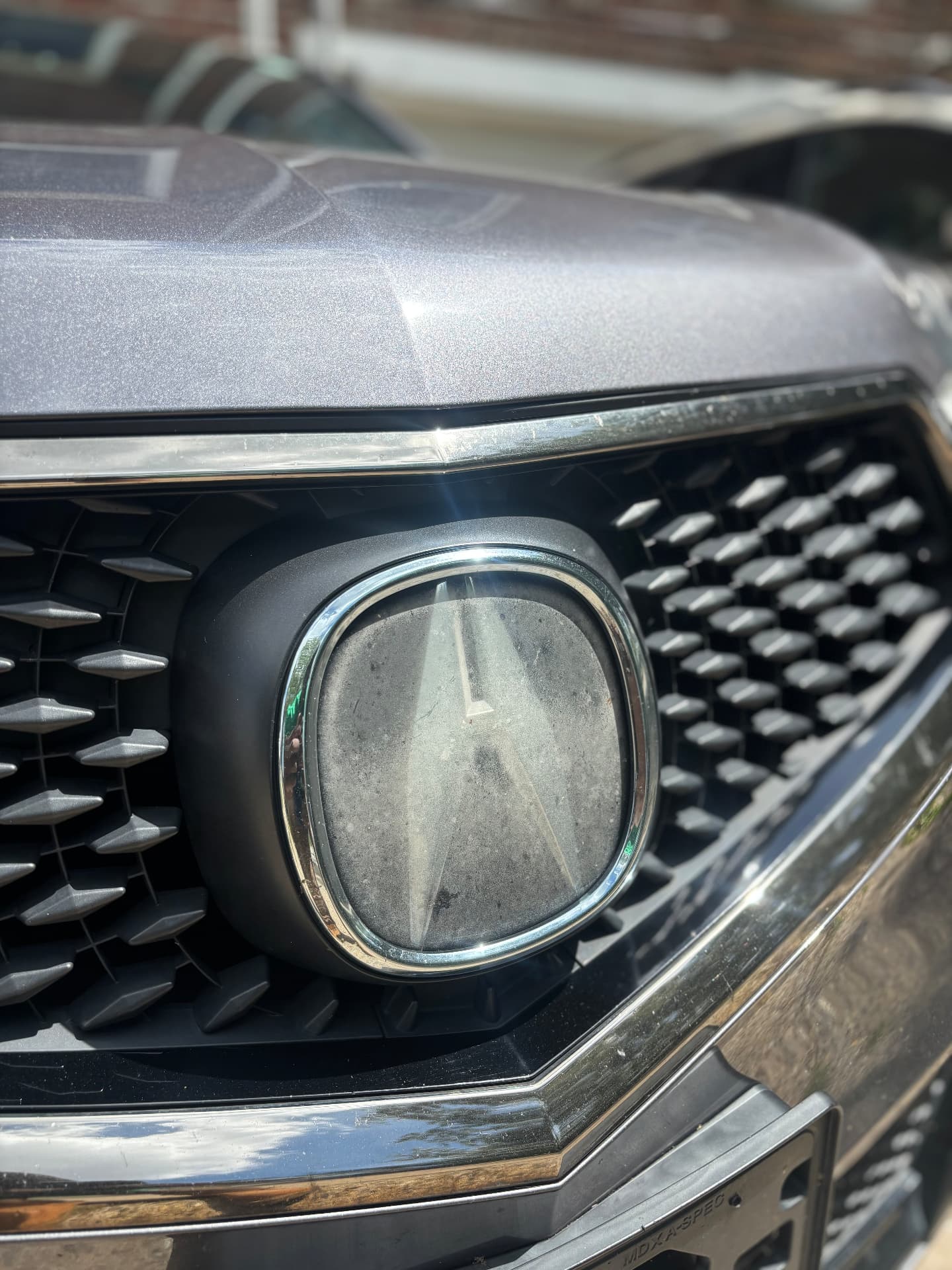 Grille Emblem Refinish — before restoration